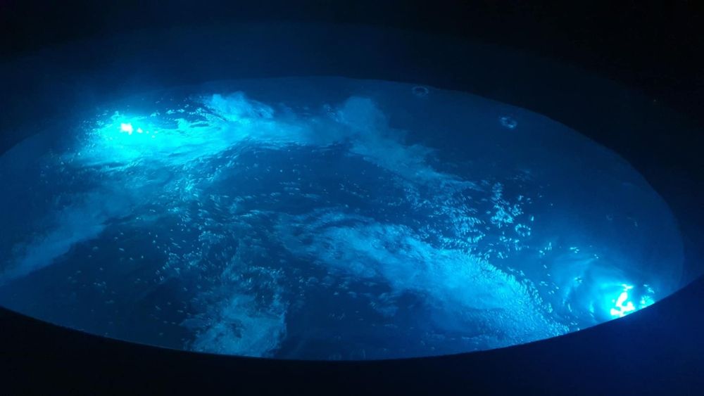 Balia mobilna, jacuzzi bania na wynajem