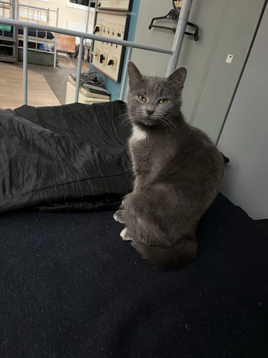 Рено Мастер в доброму стані