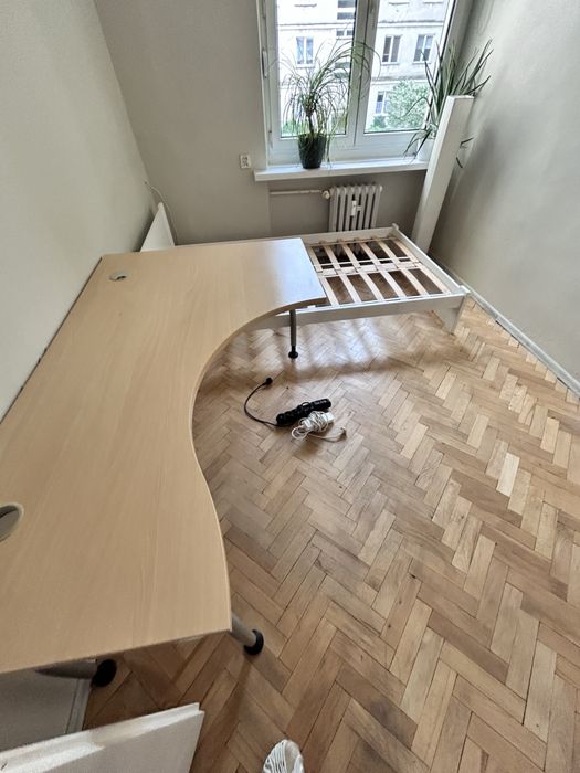 Pokój na wynajem