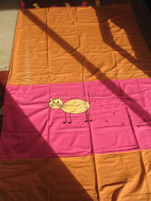 Utilitários para casa gato preto