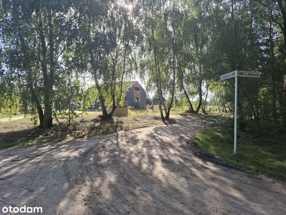Trzykolne Młyny, 1 i 2 linia linia zabudowy od lasu, MPZP, - Widok 2