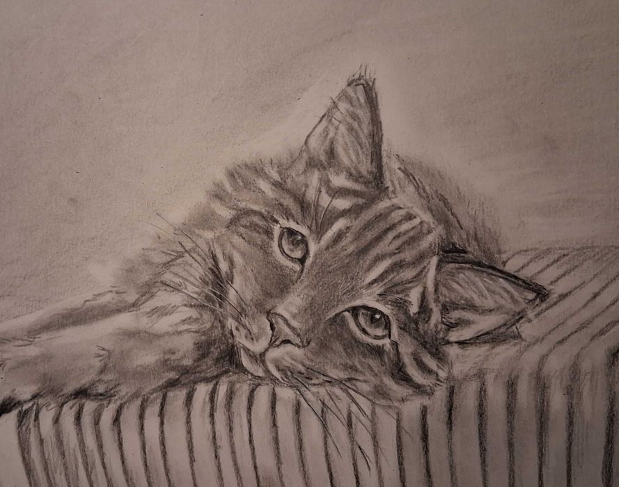 Obraz rysunek kot kotek