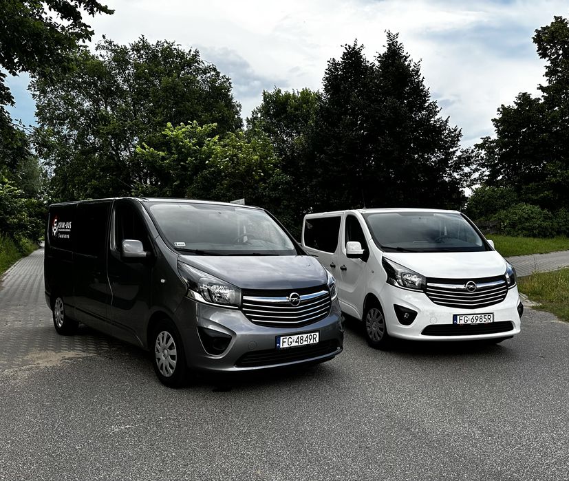 Wynajem busów 9 osobowych