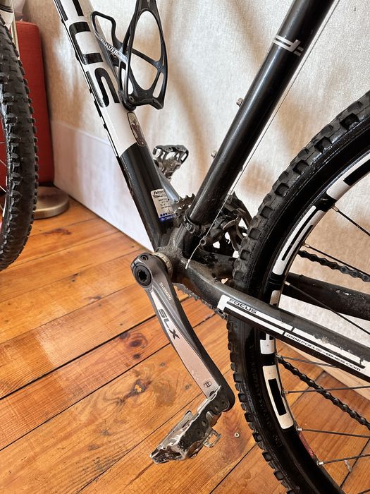 Focus Black Forest XL 26