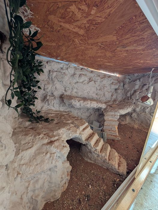 Duże terrarium dla gada