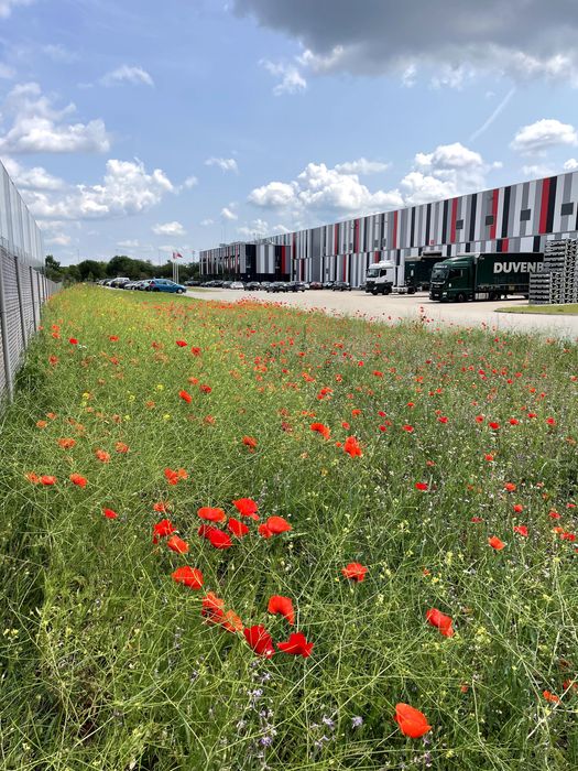 Koszenie trawy, wycinka drzew, oczyszczanie terenu, wykopy, zamiatarka