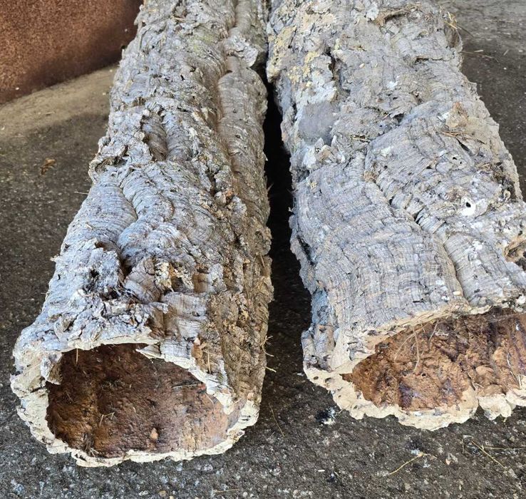 Canudos de cortiça