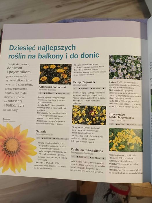książka Piękny ogród w pół godziny