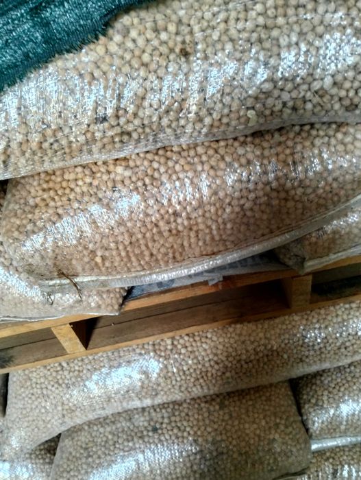 Grão biológico certificado