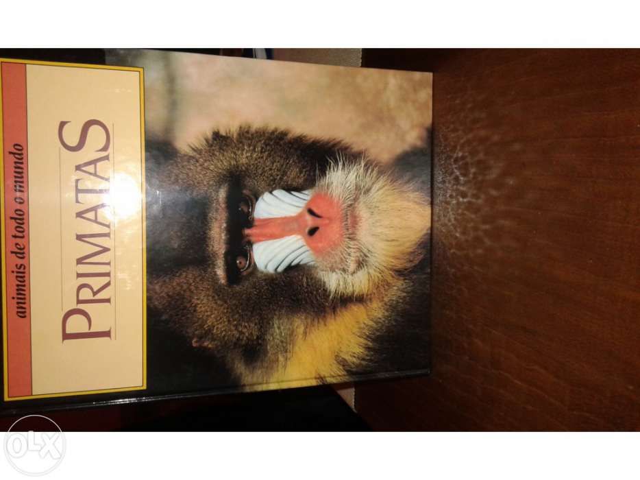 Colecção de 12 livros de animais de todo mundo