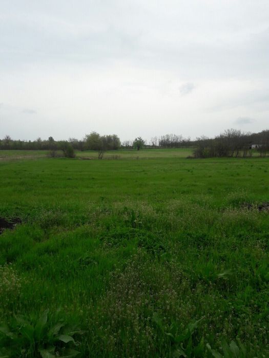 SALE Продам земельну ділянку Криве Озеро