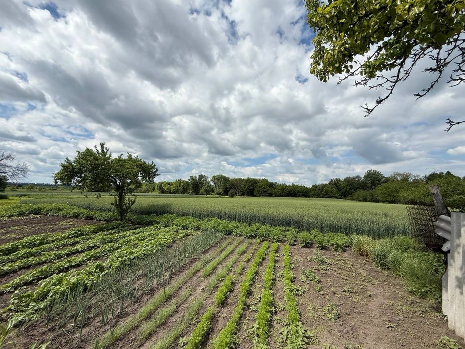 Будинок село Розумниця