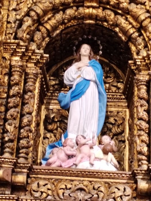 Cuidadora de crianças ama