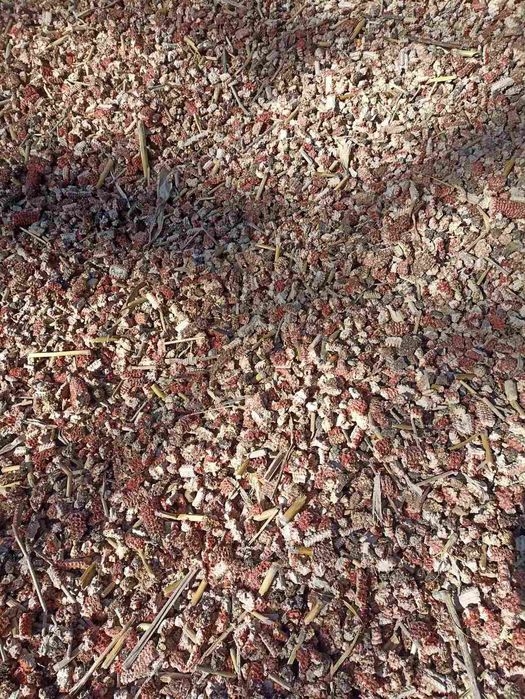 Качани дробленні на опалення/відходи качанів дроблені