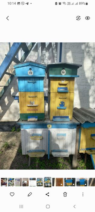 Продам вулики    Ціна договірна