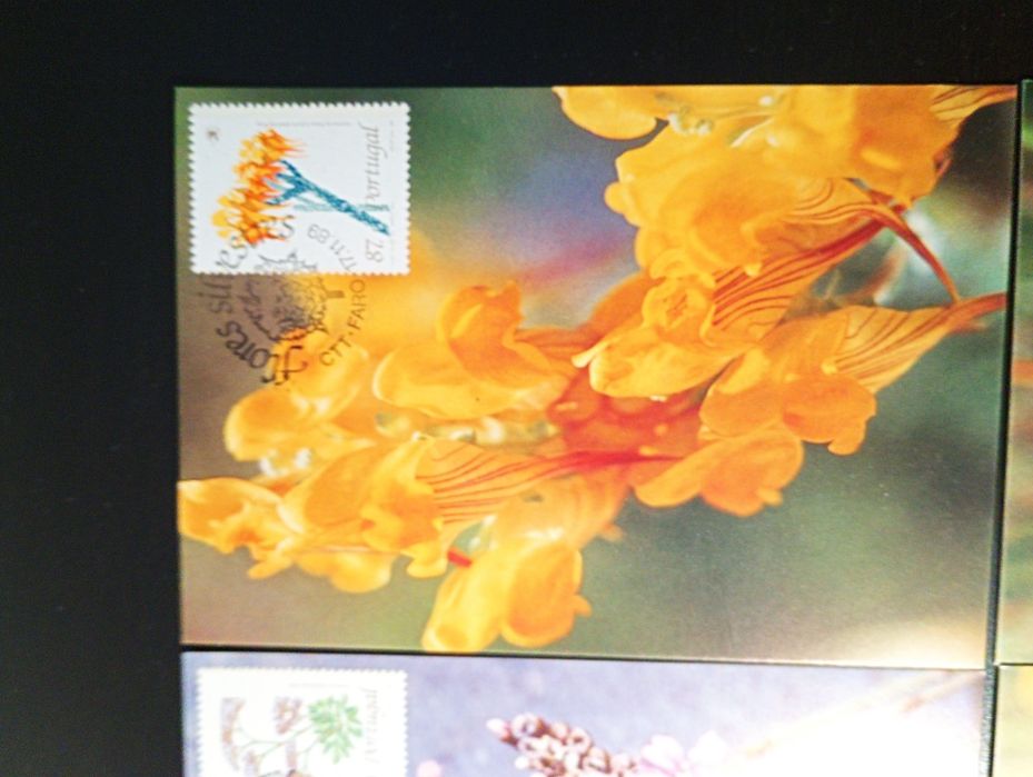 Serie completa de 4 Postais. Máximos. Novos	1989 - Flores Silvestres