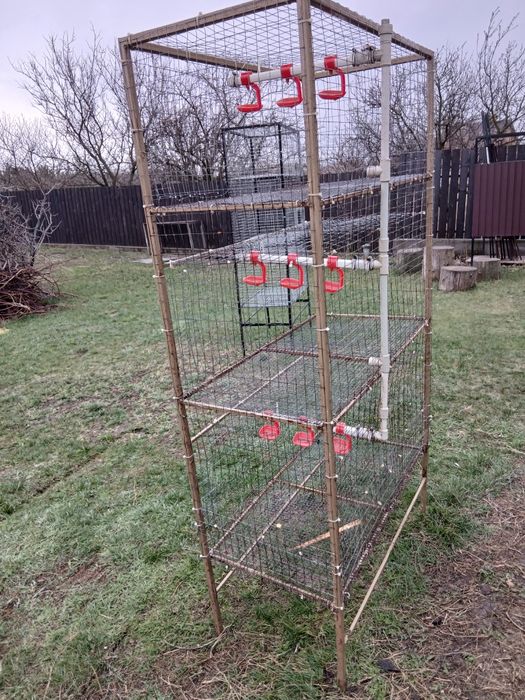 клетка для бройлеров перепелов.
