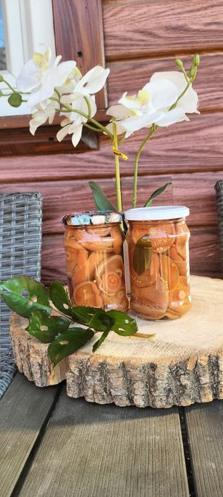 Grzyby marynowane rydze prawdziwki