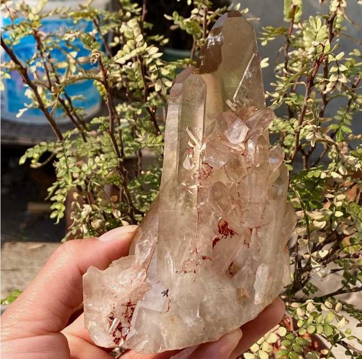Aglomerado de Quartz transparente Chakra Espiritual 516g