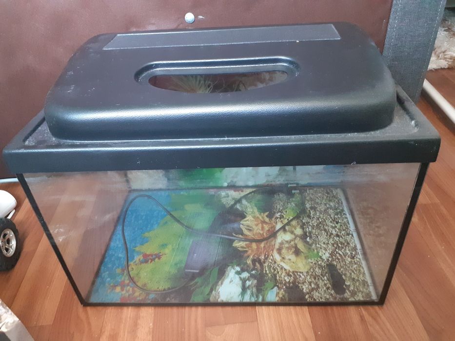Акваріуми 25л та 22л. З кришкою та без. Аксесуари. Самовивіз Черкаси