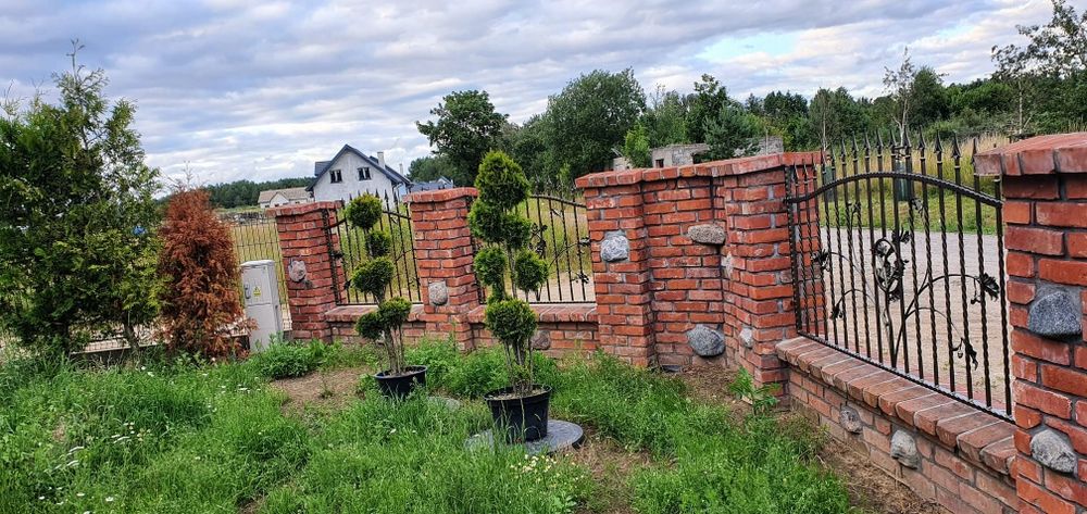 Piękny Płot ozdobny