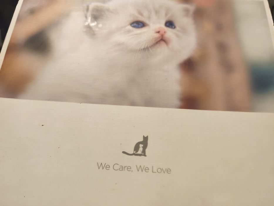 [NOVA] Fonte de Água Inteligente FeelNeedy – Oportunidade!