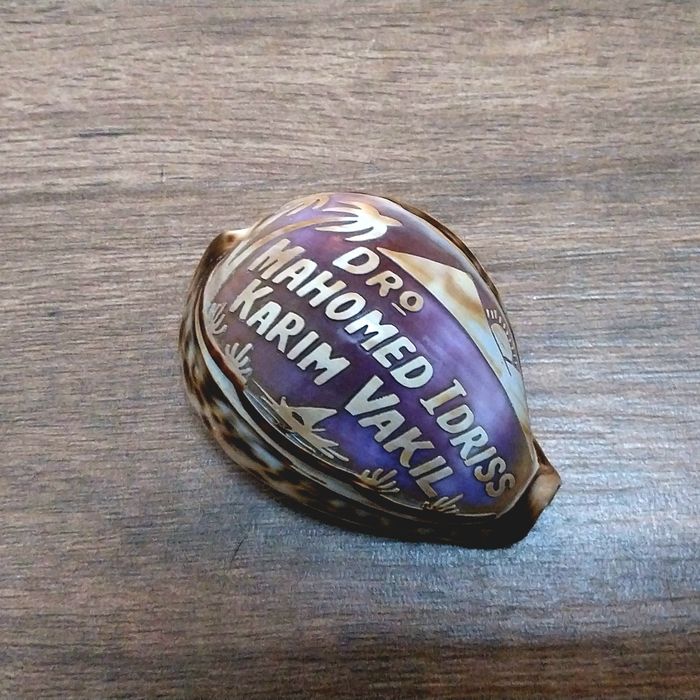 Concha muito  antiga com gravações