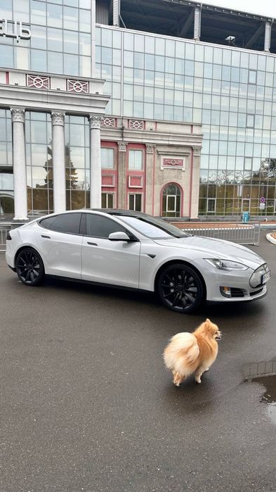 Tesla Model S 2013 p85+