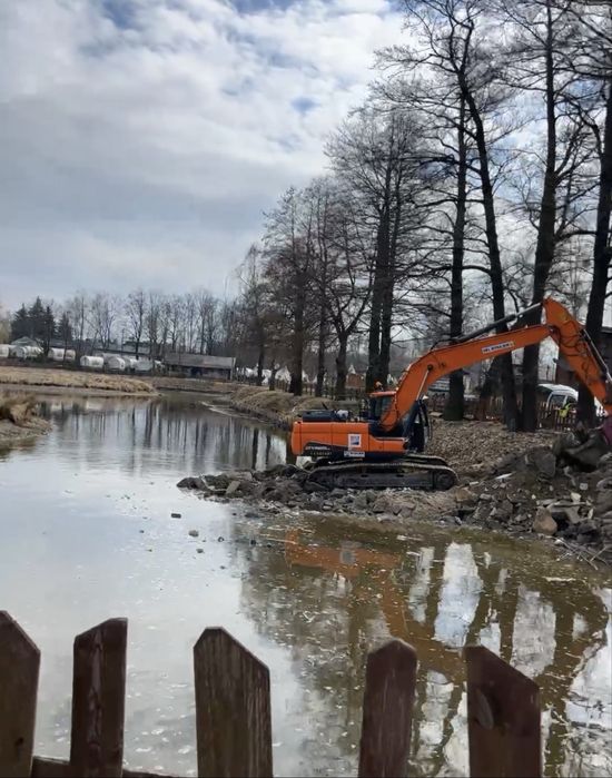 Czyszczenie działek, karczowanie, mulczowanie, koszenie, równanie