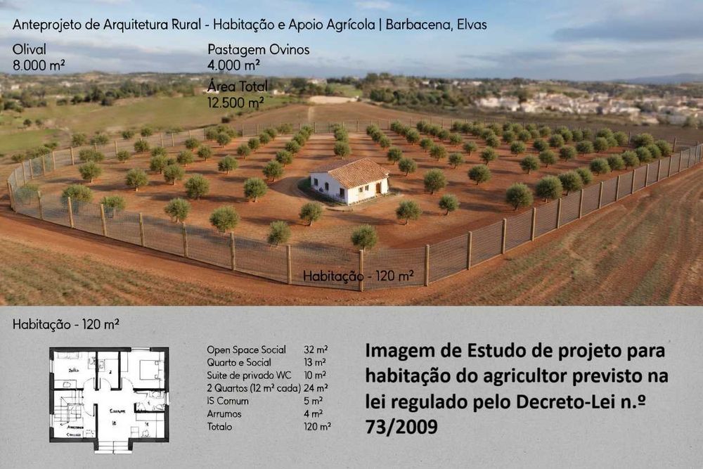 Olival com 1,25 hectares vedado com agua de poço  .