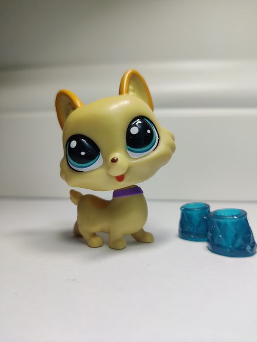 LPS Little Pet Shop pies Corgi Regalton # B4788