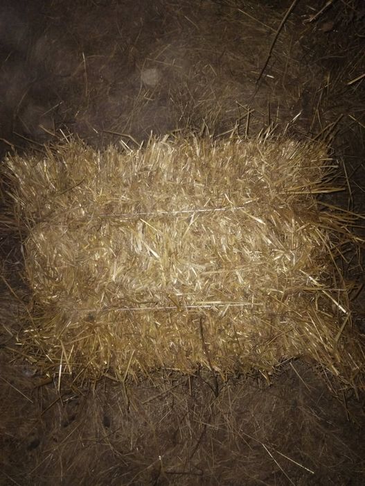 Słoma i siano w kostkach możliwy dowóz