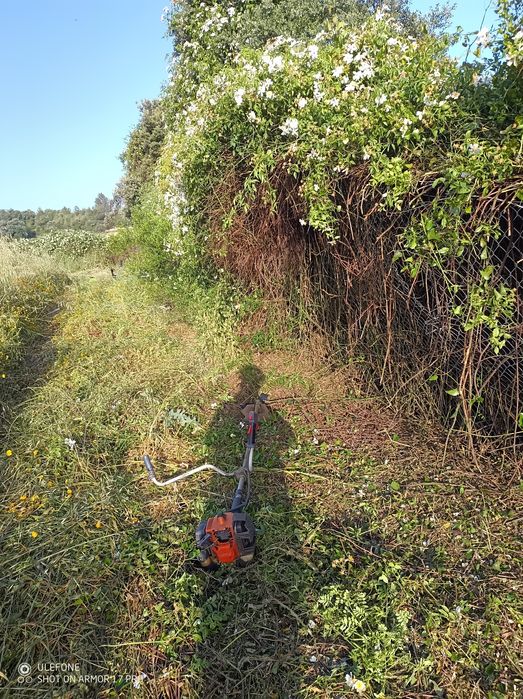 Limpeza de terrenos e desmarcação