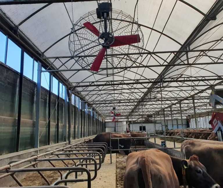 Wentylator MultiFan, dedykowany do obory, chlewni, kurnika. Mieszacz