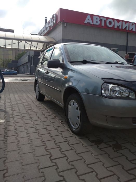Каліна на ходу вкладень не потребує