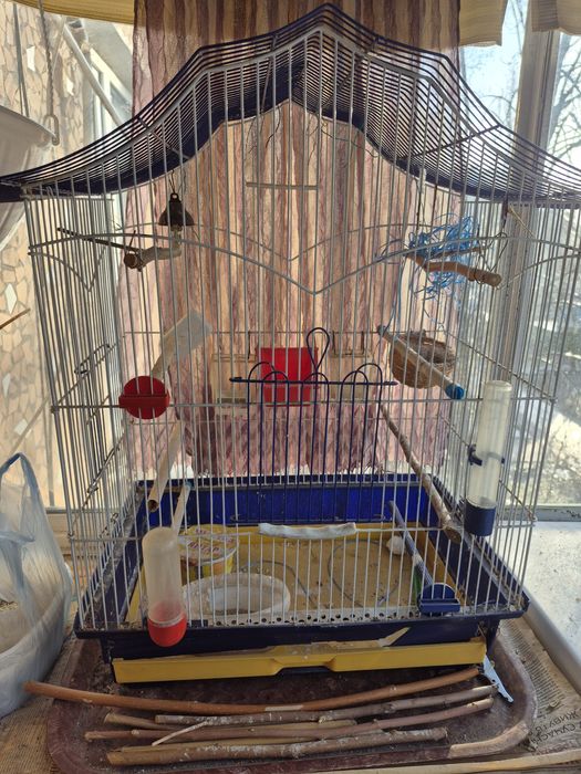 Клітка для птахів