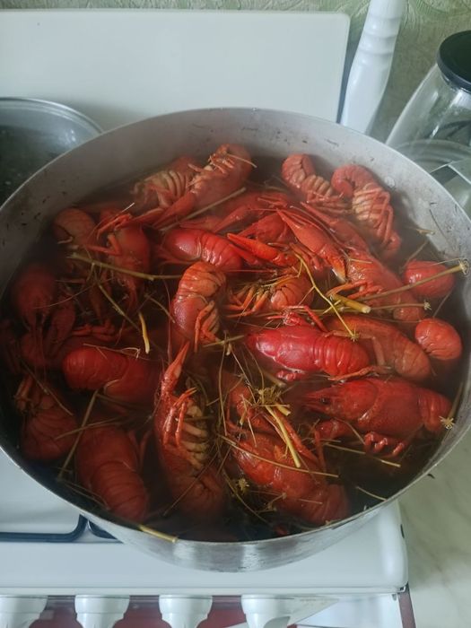 Продам свіжевиловлені раки та рибу