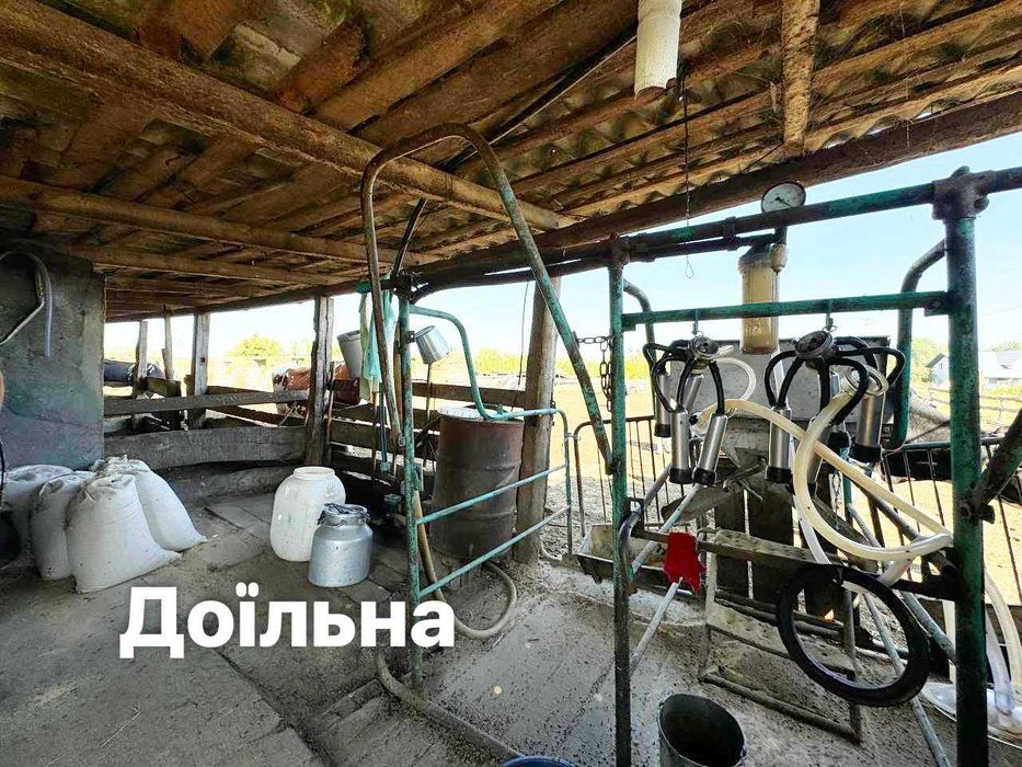 Продається діючи СІМЕЙНА Молочна ЕКОФЕРМА +3,2 га +10 га землі