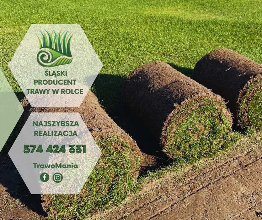 *** TRAWOMANIA - najlepsza trawa z rolki na Śląsku ***
