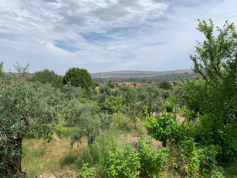 Terreno Particular com Viabilidade de construção em Mangualde