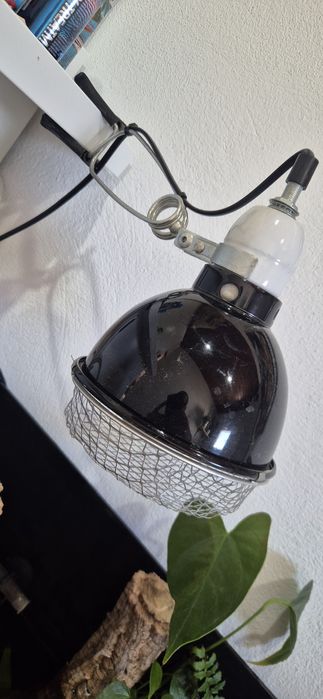 Candeeiro para terrario/réptil