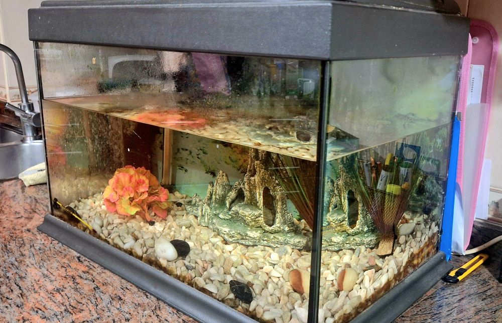 Aquário + acessórios