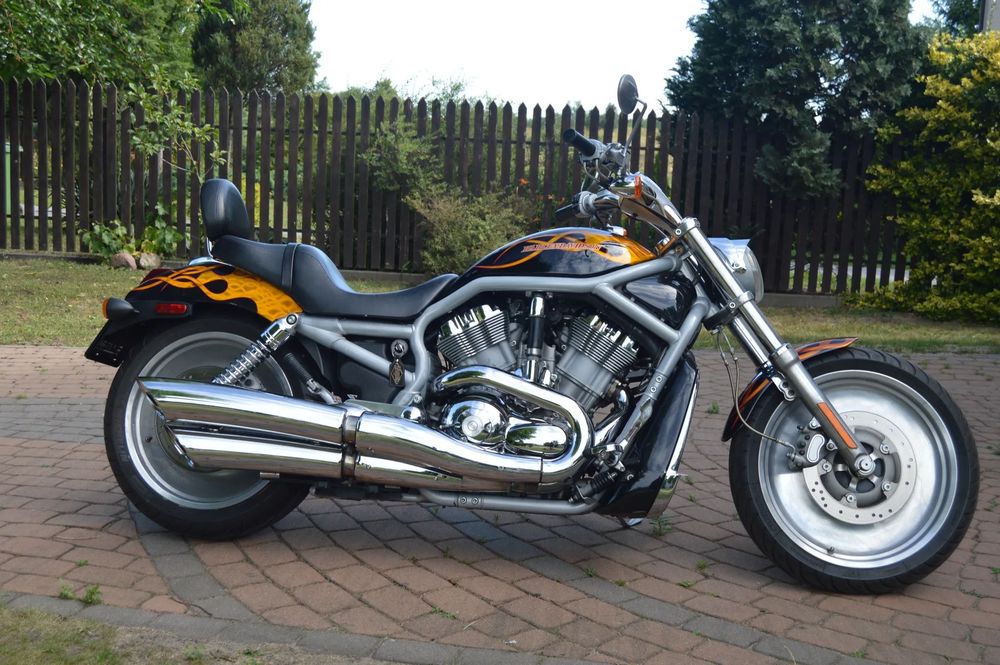 Harley-Davidson V-Rod Street Rod HD VRSCA V Rod -Anniversary Edition 2003