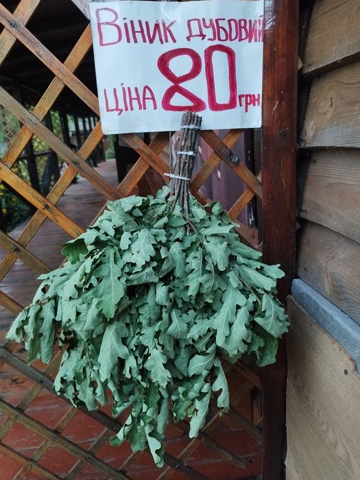 Веники для бани, дуб, дубоклён, плотный, 21 ветка