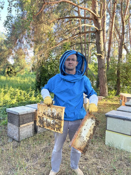 Мед опт та роздріп акація майскій липа соняшник перга