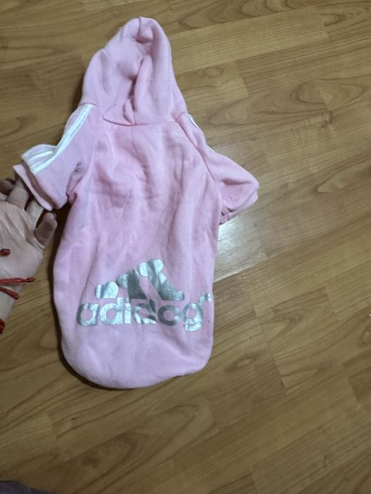 Одежда дл маленькой собачки