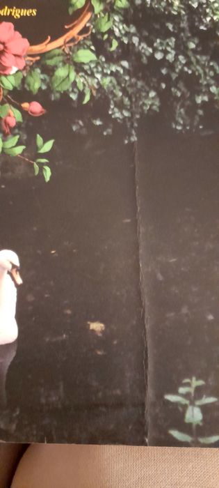 Arte Natureza e A Cidade de Jacinto Rodrigues