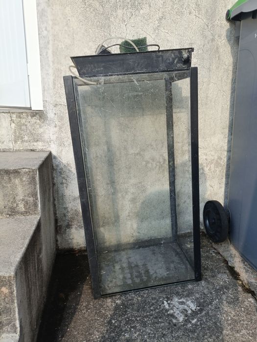 Grande Aquário Peixes