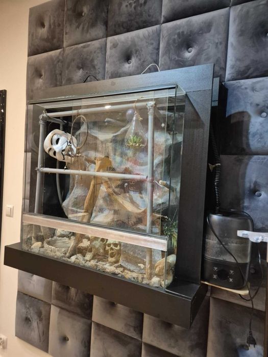 terrarium z osprzętem