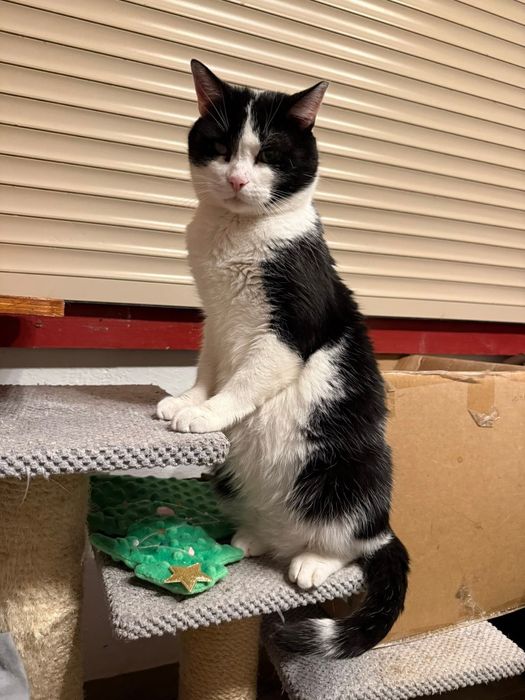 Biskup szuka domku na zawsze!